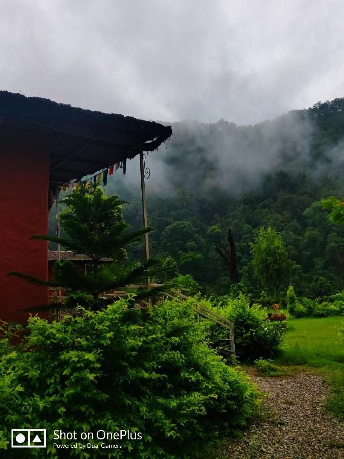 Lodge Maatre Yoga Retreat Marchula