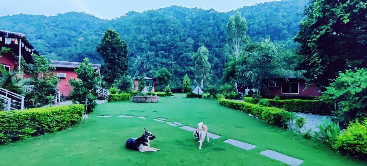 Lodge Maatre Yoga Retreat Marchula