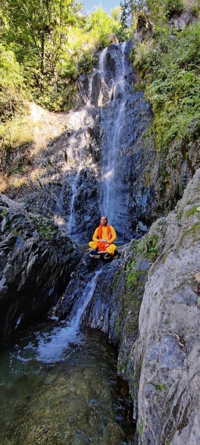 Lodge Maatre Yoga Retreat Marchula