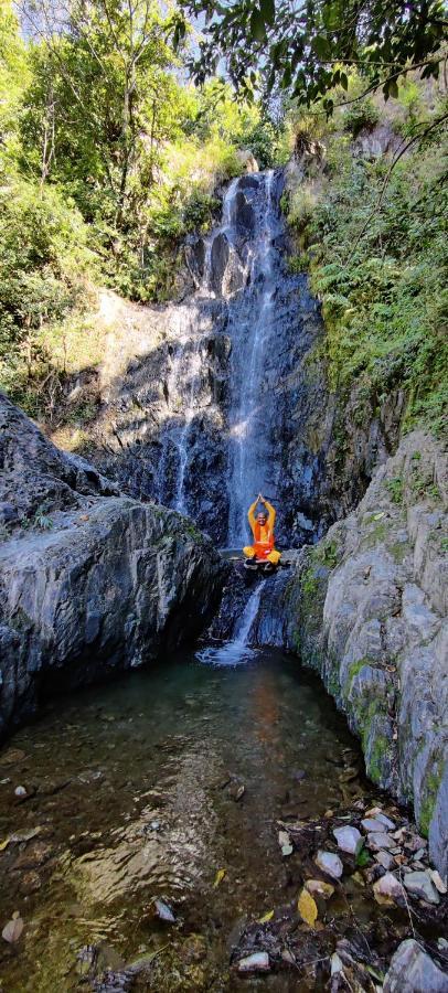 Lodge Maatre Yoga Retreat Marchula