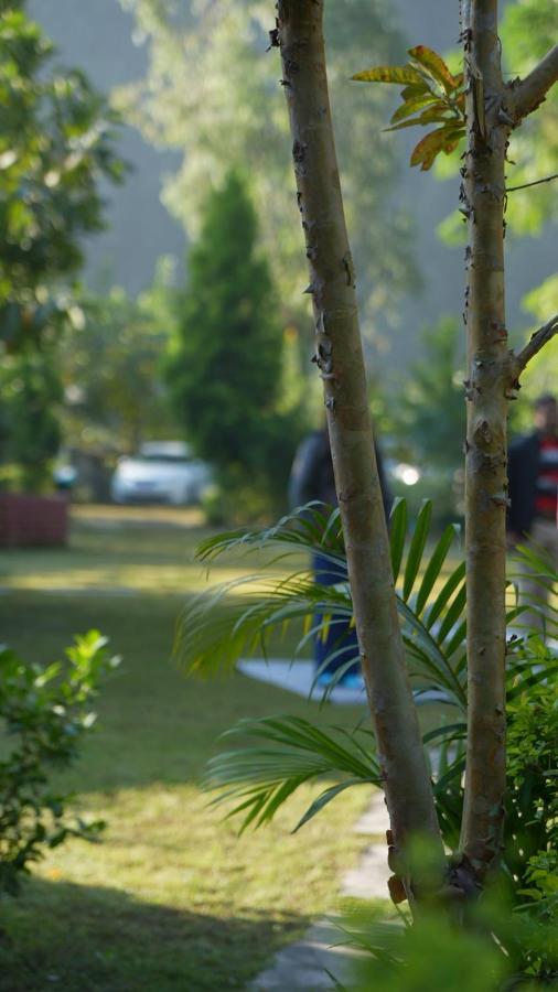 Lodge Maatre Yoga Retreat *