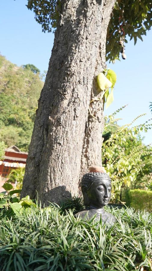 Maatre Yoga Retreat Lodge *